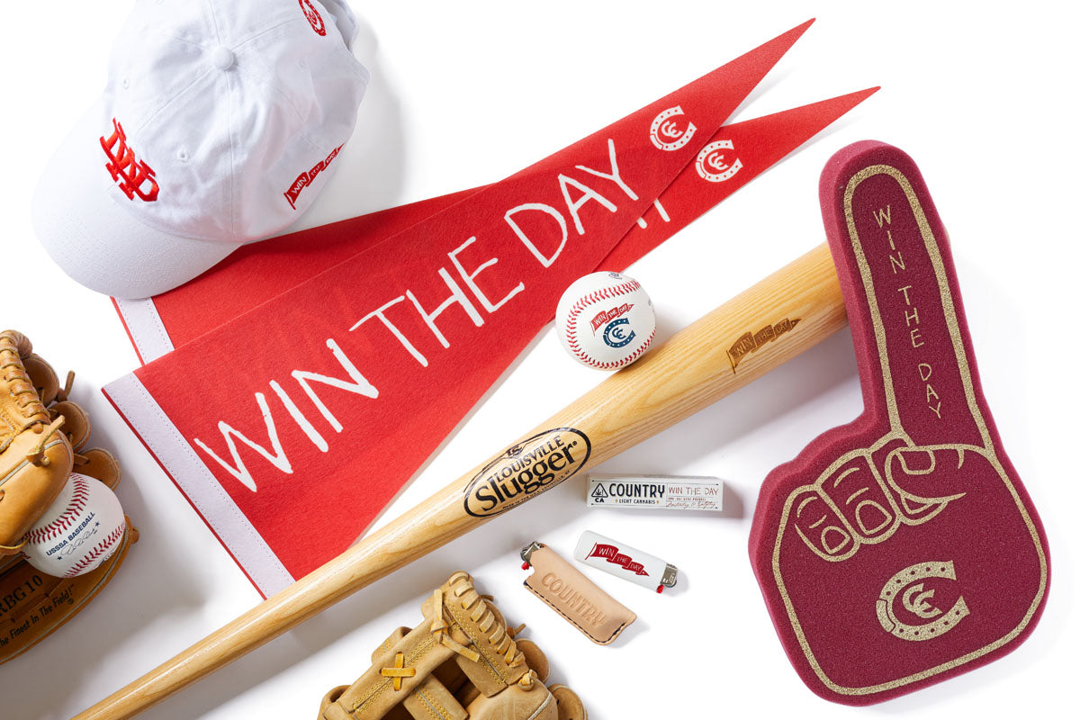 Win the Day Pennant